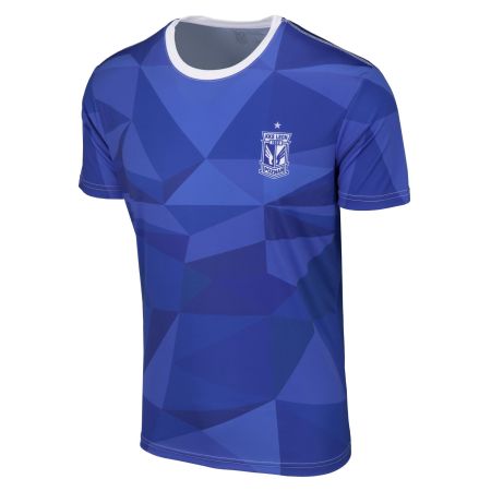 KOSZULKA MĘSKA BIEGOWA LP