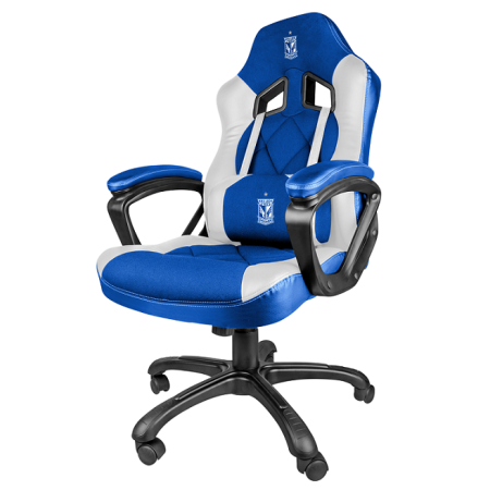 Fotel KKS Lech Poznań