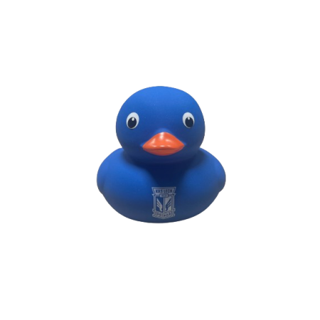 KACZUSZKA DUŻA HERB