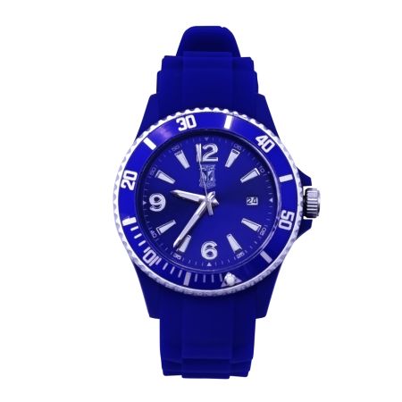 ZEGAREK SPORTOWY HERB NIEBIESKI