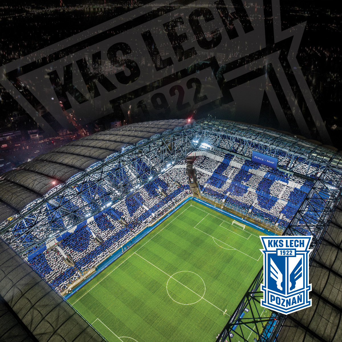 PODUSZKA FORZA LECH